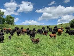 thistlecreekfarmscover